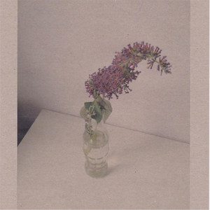 老头玩老太视频大全
